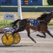 Valentine Express ties mark in Buffalo Open Trot win.