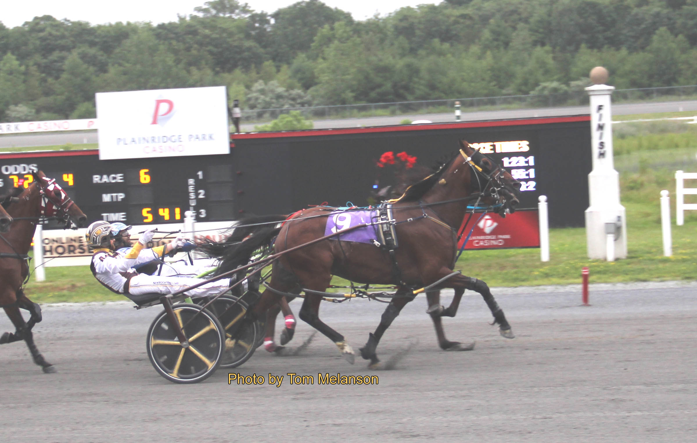 Lazarus gelding scorches a career best 1:49.1 3
