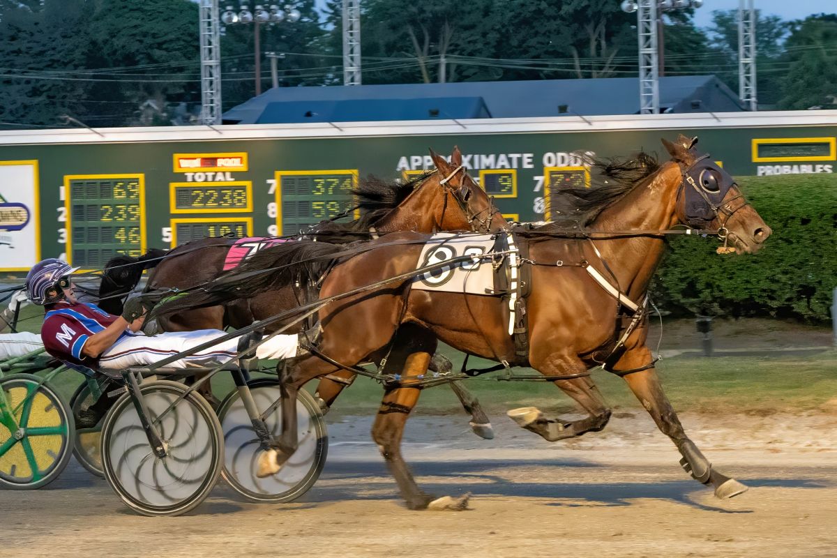 Down-under mares dominate 1