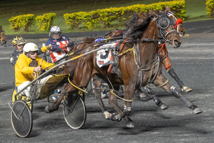 Belle on the ball for Wamuran horseman 2