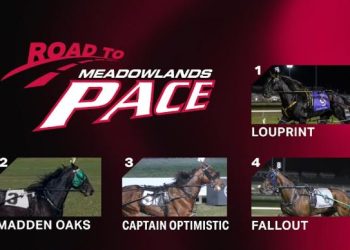 Final edition of Dave Little’s Road to the Meadowlands Pace