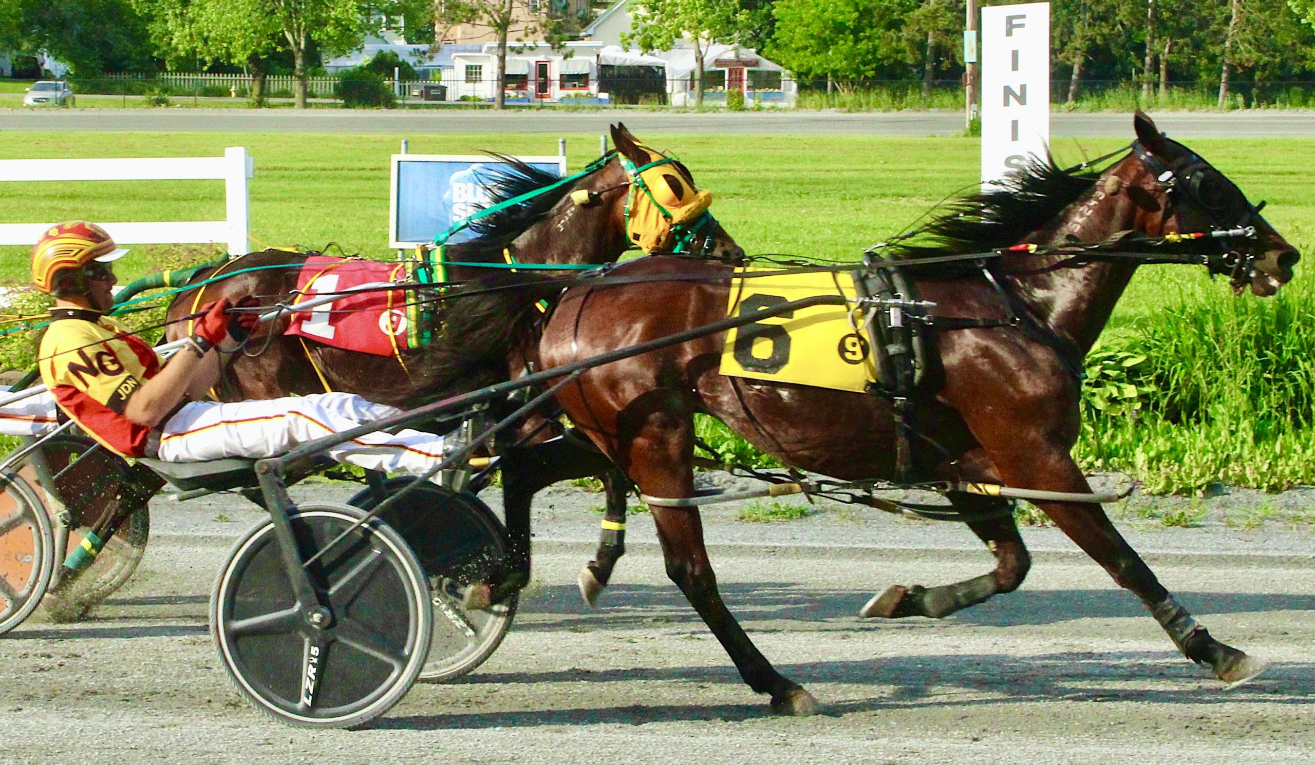 Sailor Jerry cruises to 50th career win 1