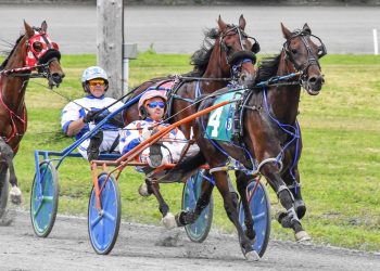 Bangor Raceway achieves record handle in 2025