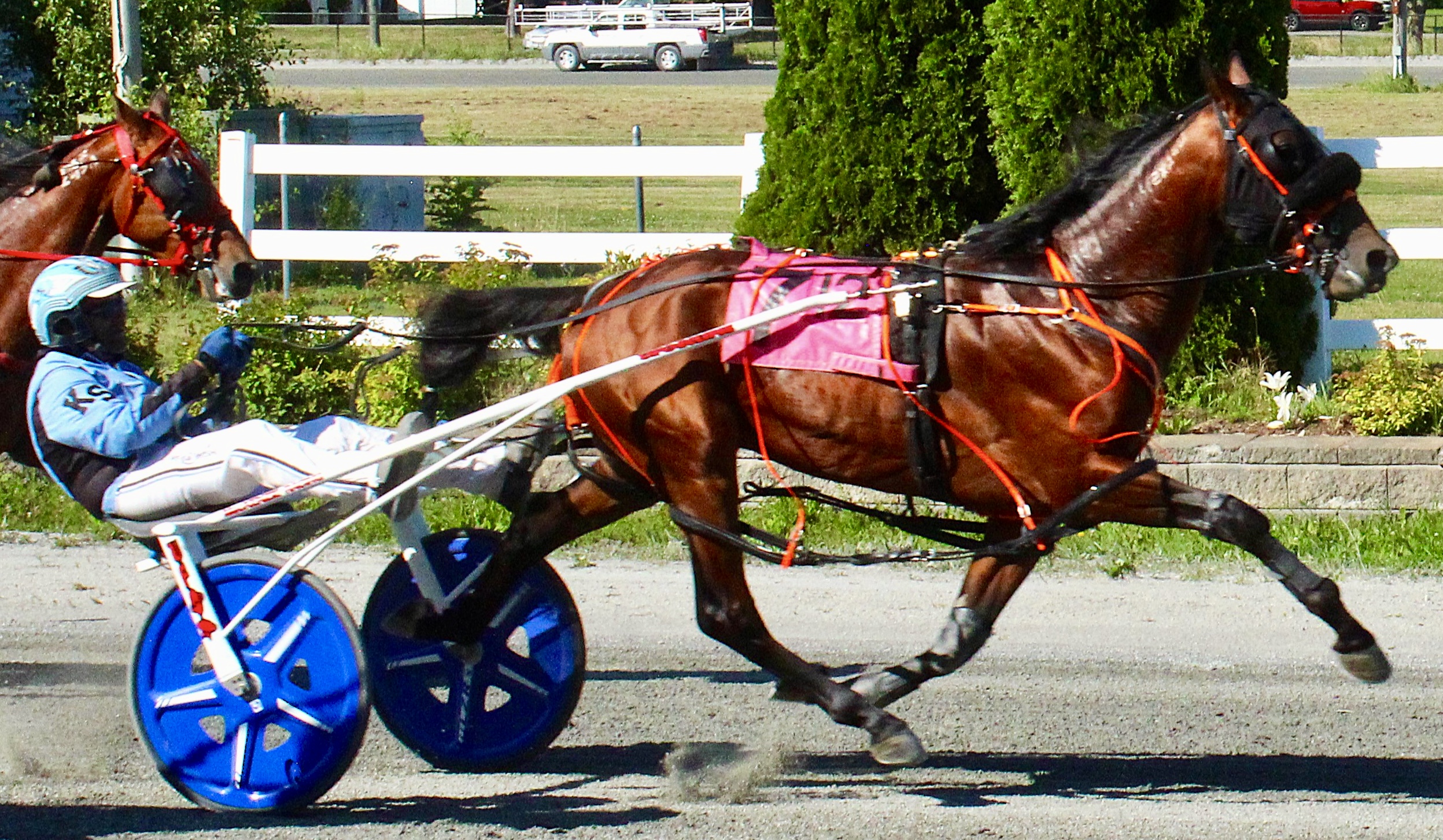 Switzer swats five at Bangor 1