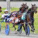 Bangor Raceway achieves record handle in 2025 2 Bangor Raceway achieves record handle in 2025