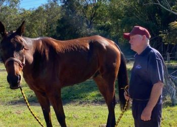 Legend status a fitting tribute for cult hero Lancelot Bromac