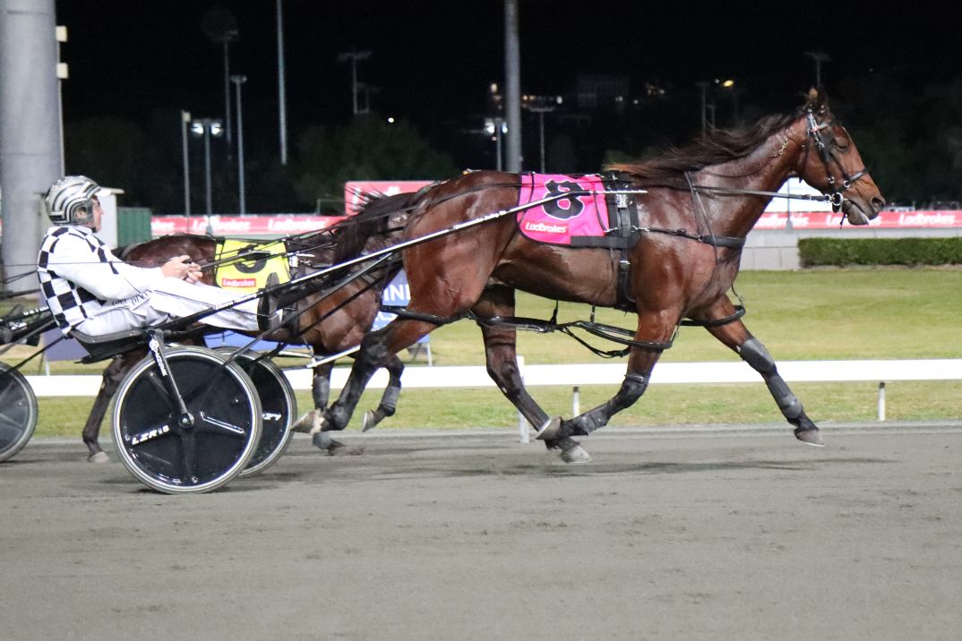 Leap To Fame in total domination mode 2