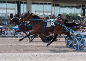 Redemption for Prince Hal Hanover in $385,000 Adios Pace