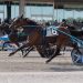Redemption for Prince Hal Hanover in $385,000 Adios Pace