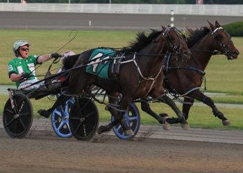 2YO pacing fillies in action for $75,900 NYSS events
