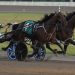 2YO pacing fillies in action for $75,900 NYSS events