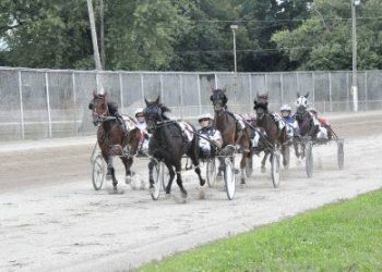 OHHA to Live Stream from Wood and Preble County Fairs