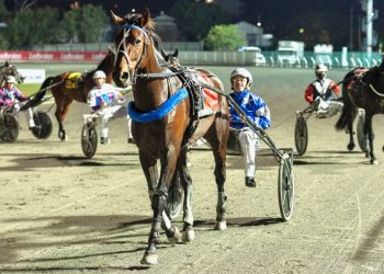 Inter Dominion legend backs Brisbane series home