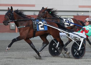 Daley trainees star in Thursday’s NYSS at Yonkers