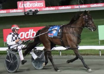 Interdominion fairytale for Tim and Jack 
