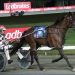 Interdominion fairytale for Tim and Jack 