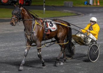 Belle on the ball for Wamuran horseman