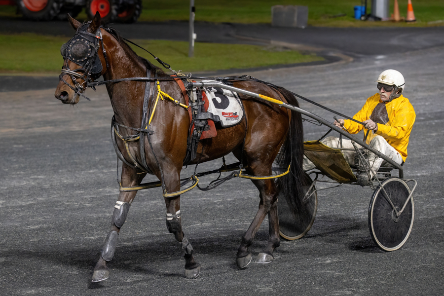 Belle on the ball for Wamuran horseman 1