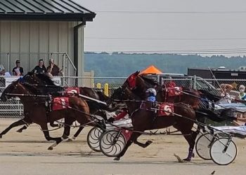 OHHA to live stream from Franklin and Warren County Fairs