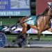 Bartlett dominates with double Matron strike 2