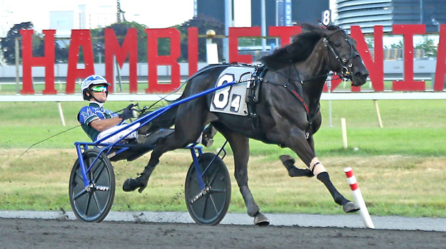 'Waldon' and 'Sugar' sweet in NJSS 1