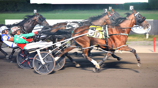 $147,500 William Haughton winners post double figure upsets 1