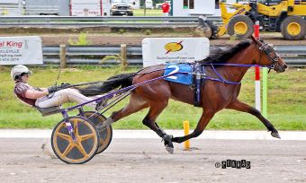 Actions speak for What Say You 1