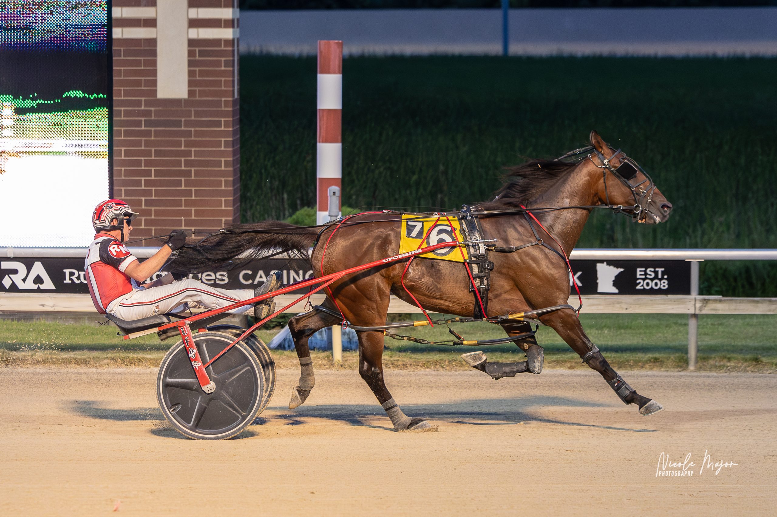 Mother Mary dazzles with new mares track record 1