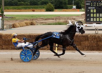 Northville Downs at Barry Expo Center Press Release 082025