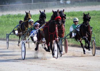 Washington (Pa) Fair meet to be livestreamed