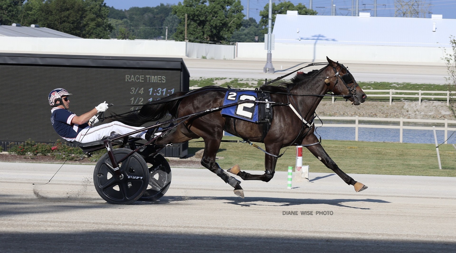 Judy’s Moni eyeing up third BSS victory 1