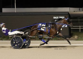 Lather Up filly seeking third Buckeye Stallion Series win