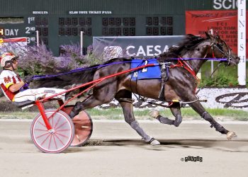 Okay One More seeking his third BSS victory