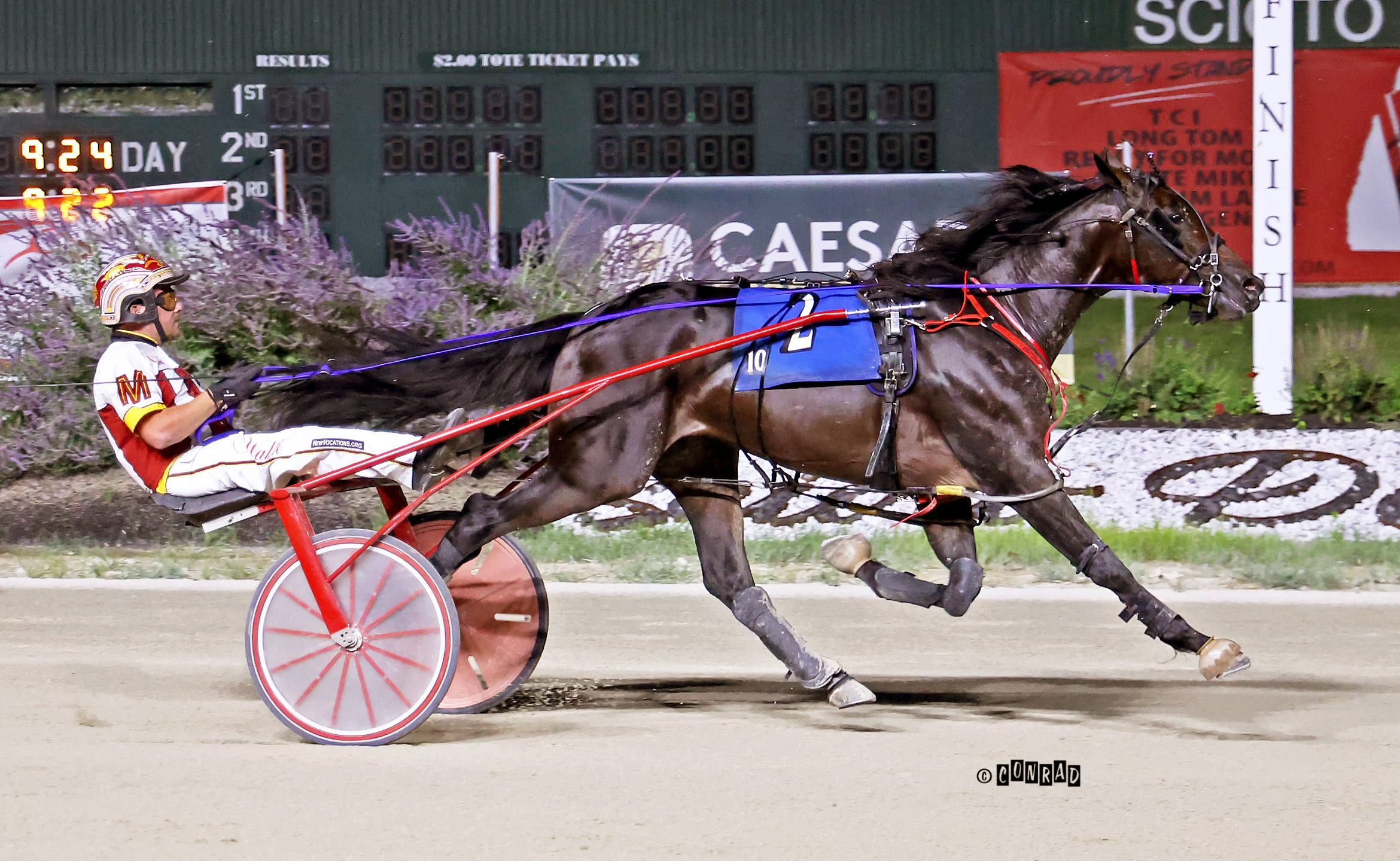 Okay One More seeking his third BSS victory 1