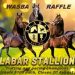 WASBA Raffle – Two services to world class Alabar stallions