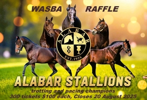 WASBA Raffle – Two services to world class Alabar stallions