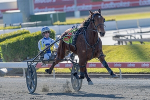 Pitt stable riding the highs in the Sunshine State