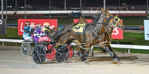 Auckland Reactor gelding chasing first win of the season