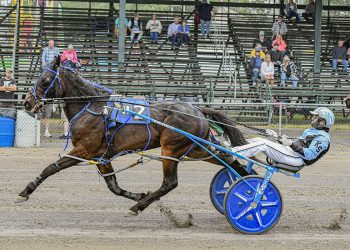 Switzer dominates freshman colt paces