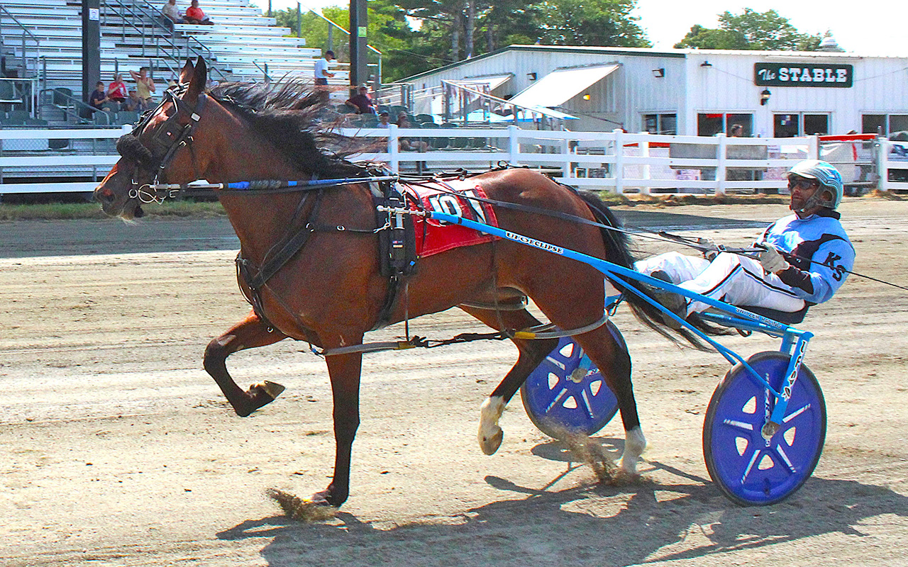 Daytoremember in Maine Sire Stakes 2