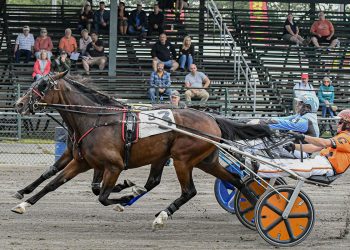 RELEASE: Maine trotters hustle thru Windsor
