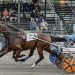 RELEASE: Maine trotters hustle thru Windsor