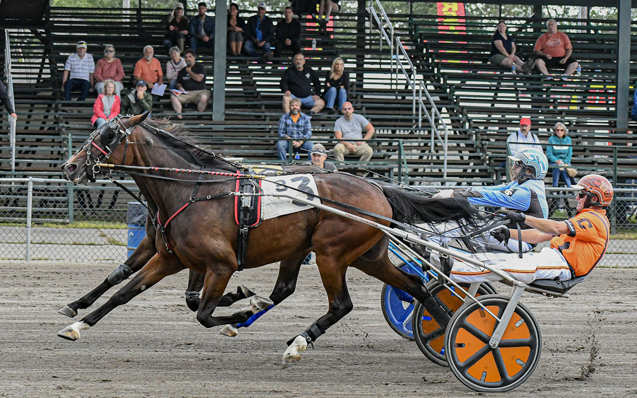 Liberty’s Wildcard, Barbella lead Sire Stakes stars 1