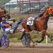 3-year-old filly pacers roll into Topsham 2