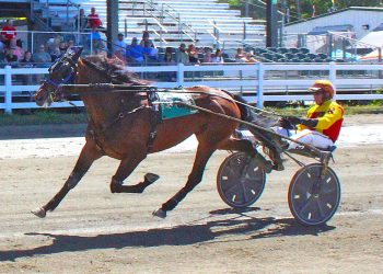Maine trotters scamper with new records
