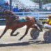 Maine trotters scamper with new records 2 Maine trotters scamper with new records