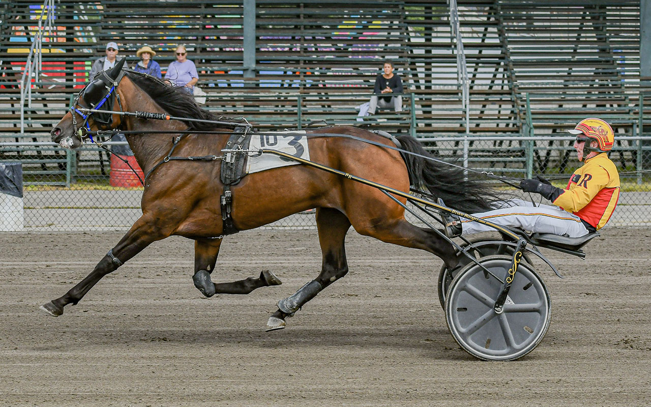 Liberty’s Wildcard, Barbella lead Sire Stakes stars 2