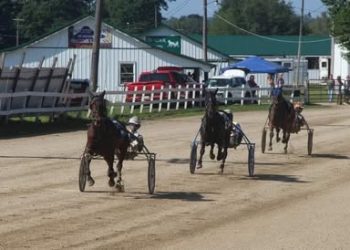 Wattsburg (Pa) Fair meet to be livestreamed