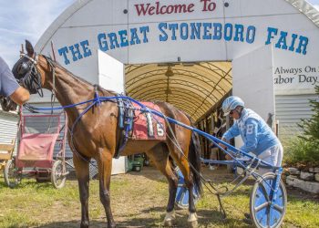Always B Miki filly gets 10th fair win