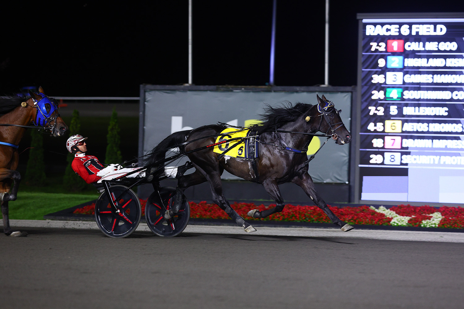 Field grows to eight for $1,000,000 MGM Yonkers Trot 1